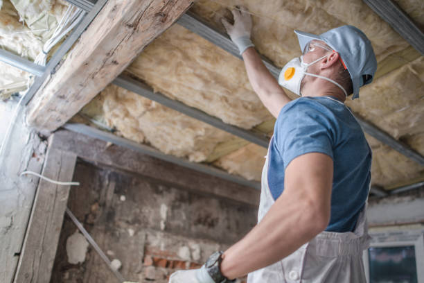 Best Eco-Friendly Insulation in Fruitport, MI