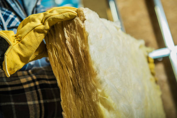 Best Geographic-Specific Insulation Services in Fruitport, MI